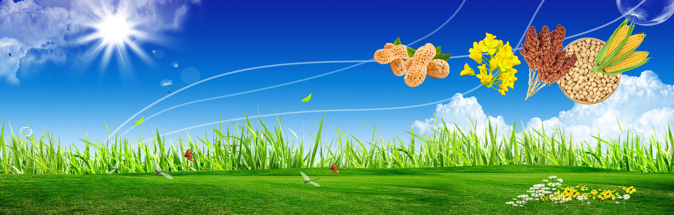 減速機(jī)維修